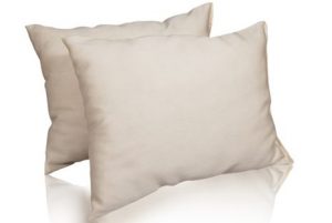 Sachi Organic Pillows