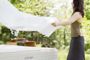 Savvy Rest Organic Sheet Review and Fall Giveaway