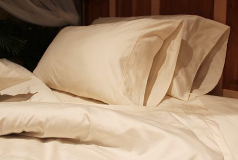Sleep and Beyond Organic Pillowcases