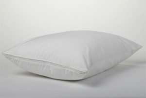 Organic Cotton Pillow Protector by Coyuchi
