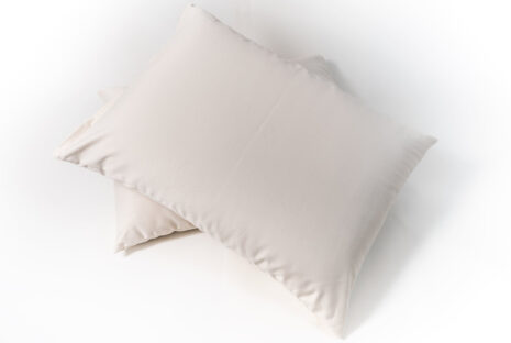 Sachi Organics Cotton Pillow