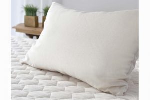 Savvy Rest Shredded Latex Pillow