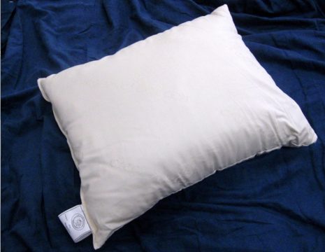 Sleepy Sheep Organic Cotton Pillow