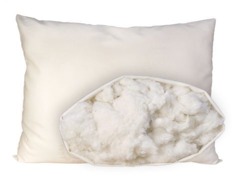 OMI Organic Cotton Pillow