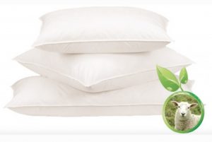 TFS Honest Sleep Organic Wool Pillow